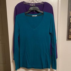 Femme Women’s Long-Sleeve V-neck Fitted Shirts Bundle of 2 (size M)